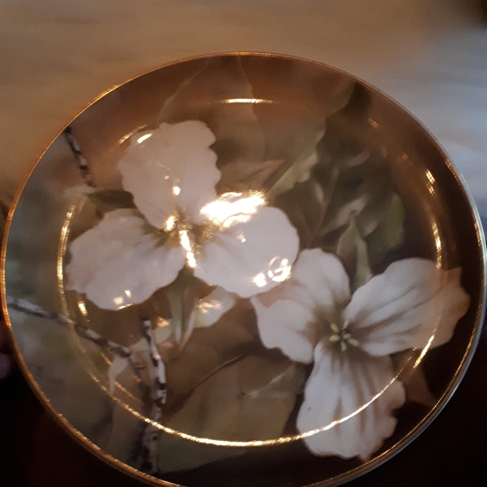 Collector plates. - Picture 6 of 9